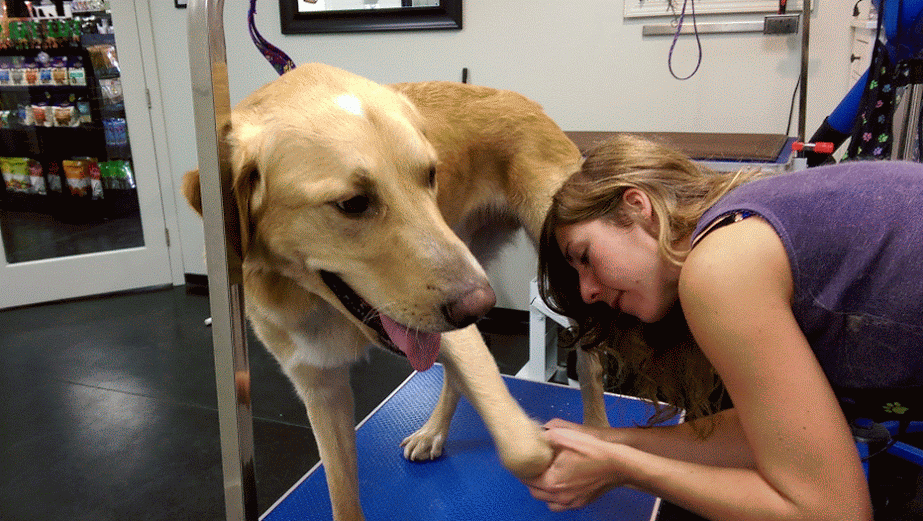 5 Common Grooming Mistakes